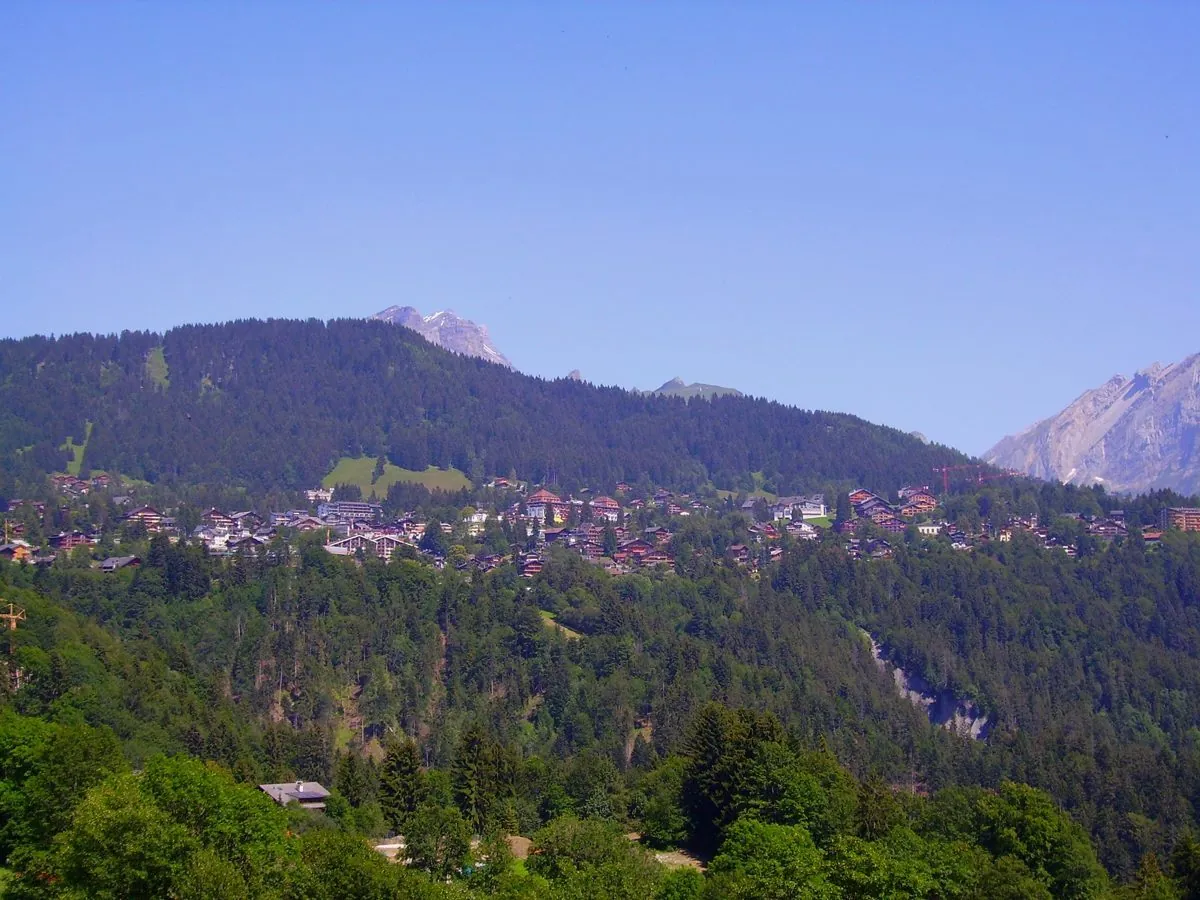 Airbnb-Verwaltung in Alpes vaudoises — Heiwa Solution